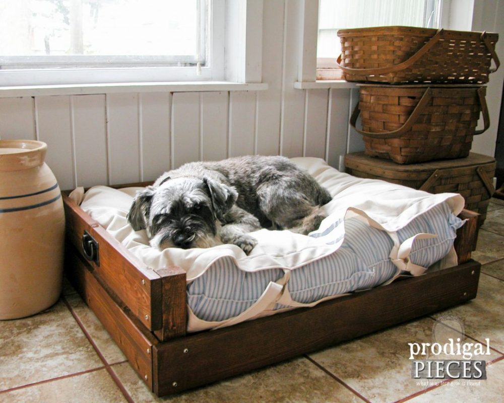 How to make a cozy dog ​​bed