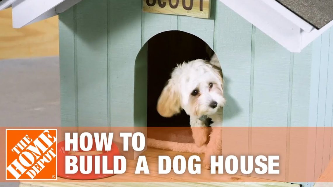 How to make a do-it-yourself dog house: useful tips and instructions