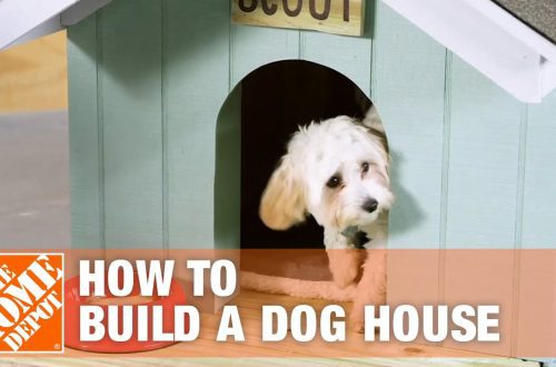 How to make a do-it-yourself dog house: useful tips and instructions