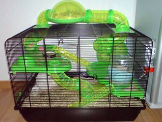 How to make a do-it-yourself hamster maze: building tunnels, pipes and obstacle courses