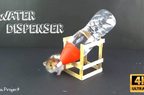 How to make a drinking bowl for a hamster with your own hands at home