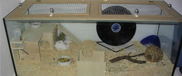 How to make a hamster cage with your own hands at home from improvised materials