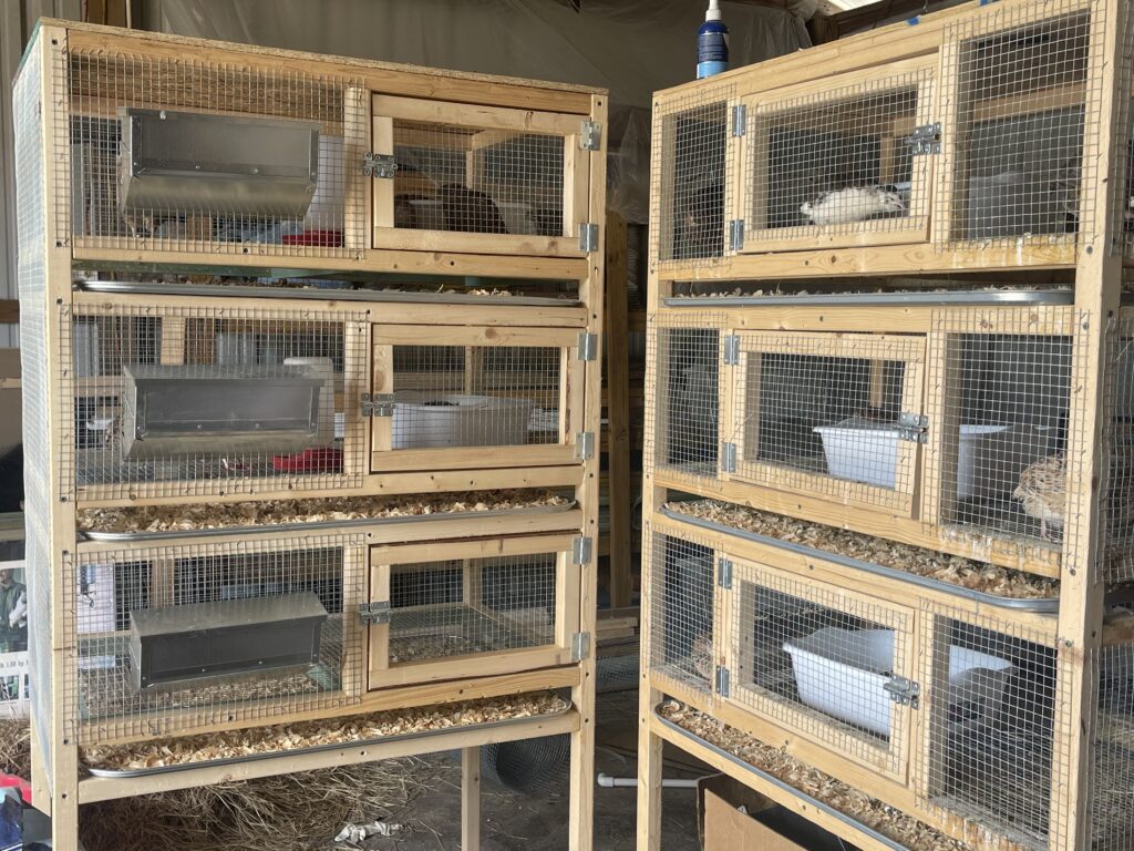 How to make a quail cage with your own hands: the choice of materials and recommendations for creating a design