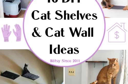 How to make do-it-yourself cat shelves