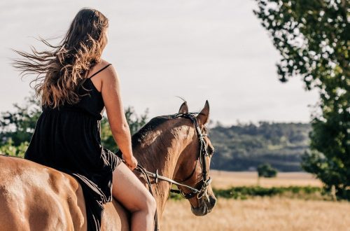 How to master a confident canter and stop being afraid