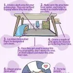 How to potty train a guinea pig in one place