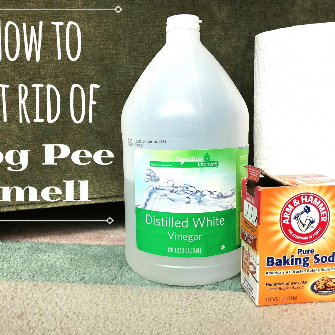 How to remove dog urine smell from carpet