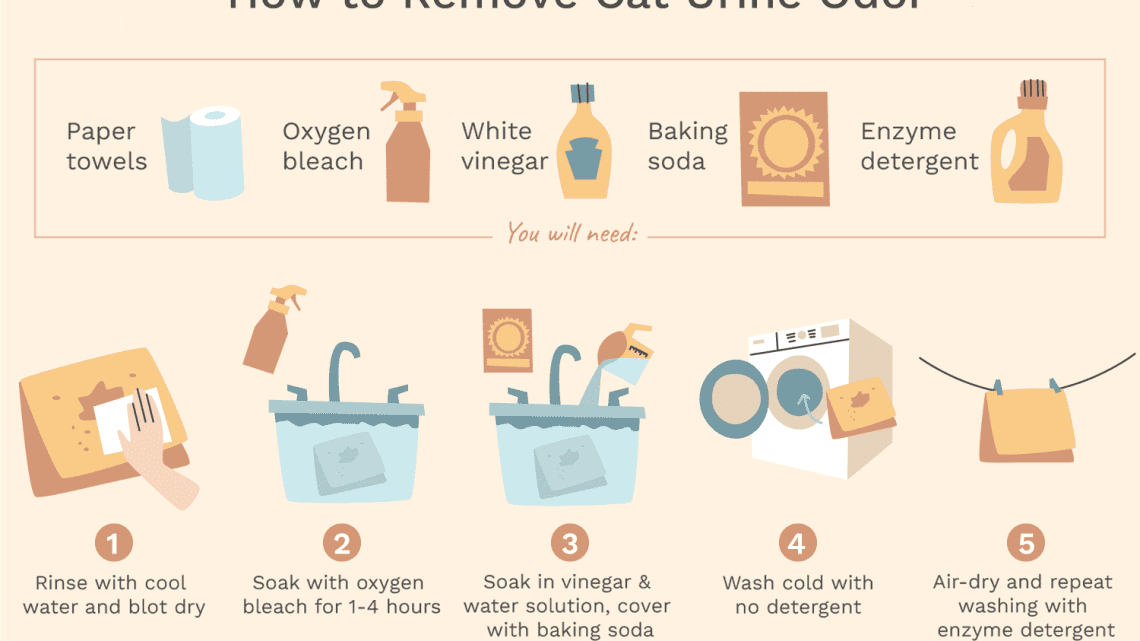 How to remove the smell of cat urine?