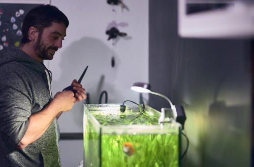 How to start your first aquarium