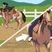 Pat Parelli: teaching a horse to enter the water