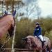 Visualization: equestrian training without a horse