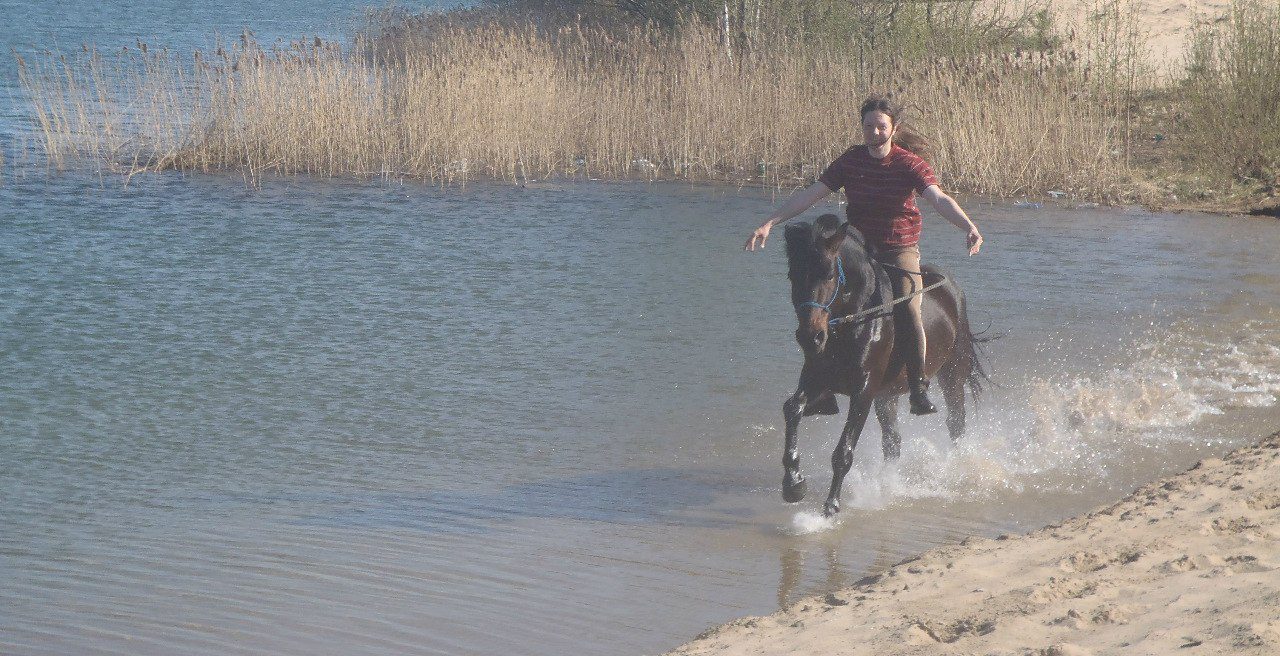 How to teach a horse to handle without a bridle?