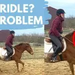 How to teach a horse to handle without a bridle?