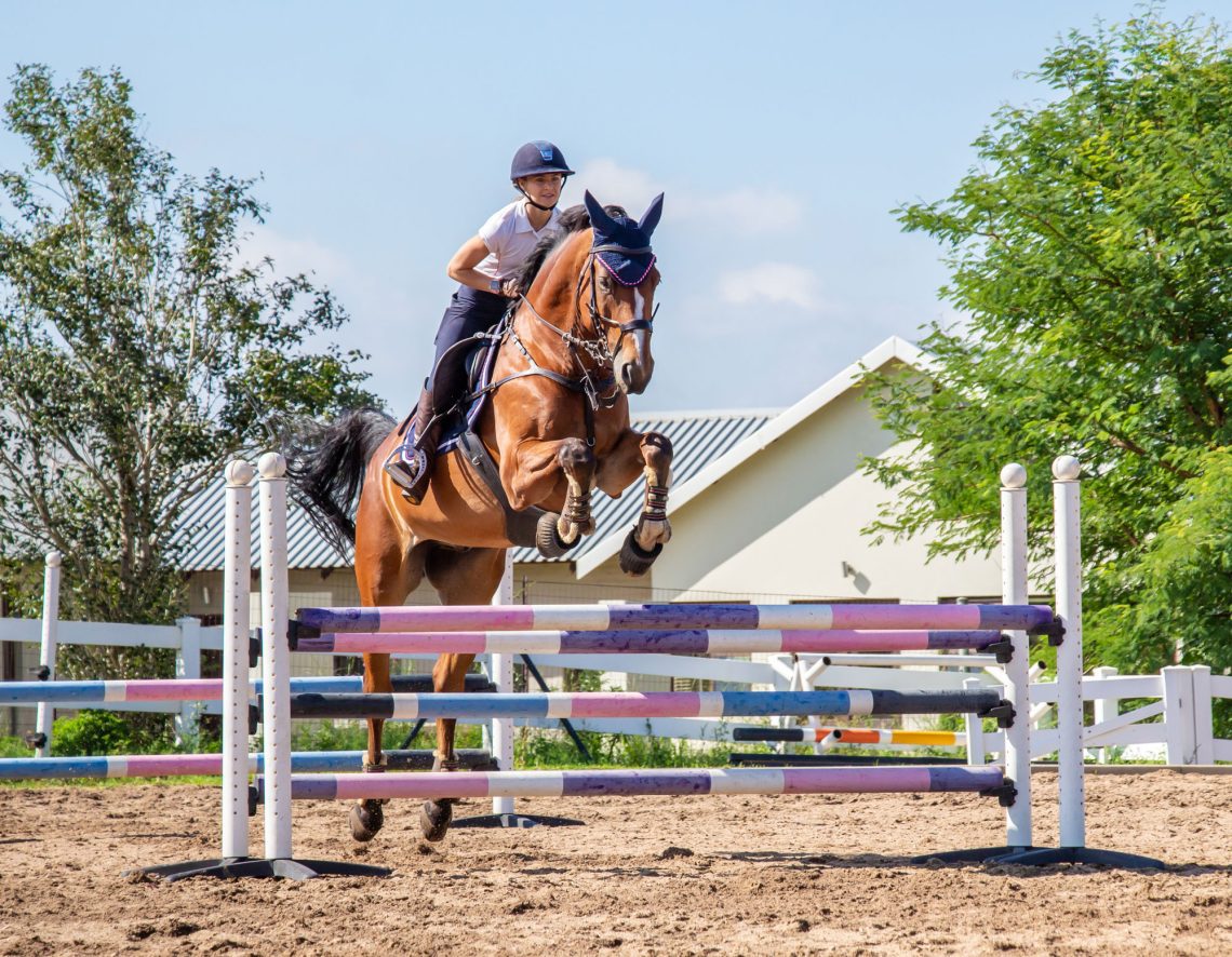 How to teach a horse to jump over a fence