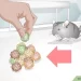 What branches can be given to a chinchilla (trees)
