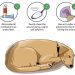 Hypothermia in dogs: symptoms and treatment