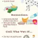 Dog teeth cleaning and oral care at home