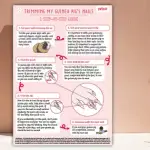 How to trim a guinea pig’s nails at home: step by step instructions