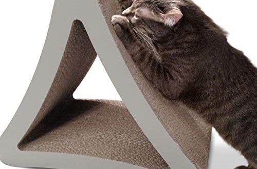 How to wean a cat to tear wallpaper and furniture