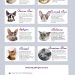 What breed of cats from Whiskas dry food advertisement is used in it