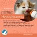 Ascaris in cats: symptoms and treatment