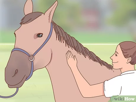 I&#8217;m afraid of horses! What to do?