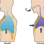 Inhale and exhale
