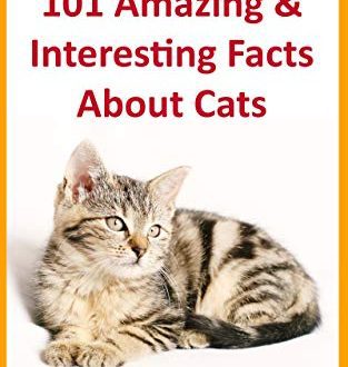 Interesting facts about cats