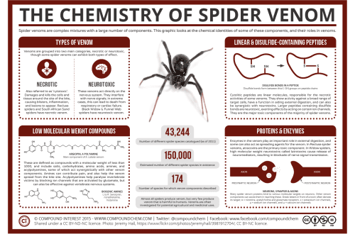 Interesting facts about the spider-cross, its structure, appearance and level of bite poisonousness