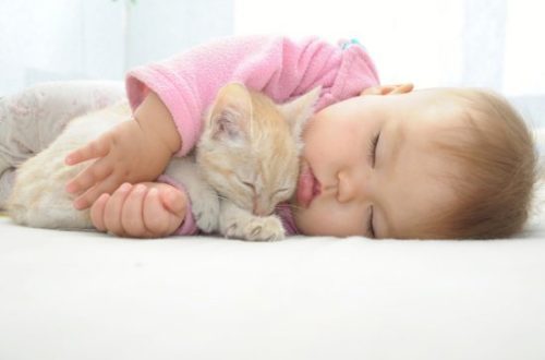 Is friendship between a cat and a baby dangerous?
