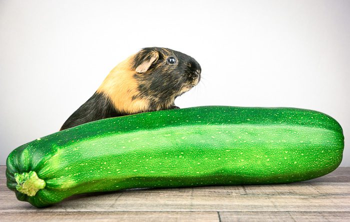 Is it possible for guinea pigs to eat zucchini, how much to give them