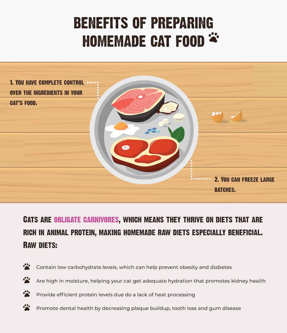 Հնարավո՞ր է կատվին կերակրել տնական սնունդով