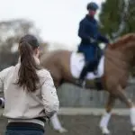 Is it worth buying a horse without viewing