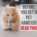 Why does a hamster bite, how to stop a hamster from biting
