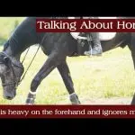 Is the horse heavy in the forehand? Correction Exercises