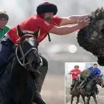 Is the kok-boru (goat-cutting) tournament at the CMI legal?