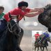 Georgina Bloomberg gave her son a pony from a shelter