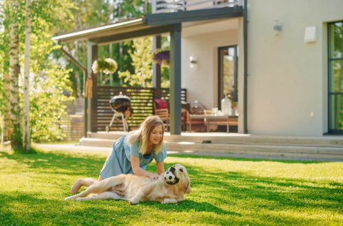 Is your backyard garden safe for your puppy?