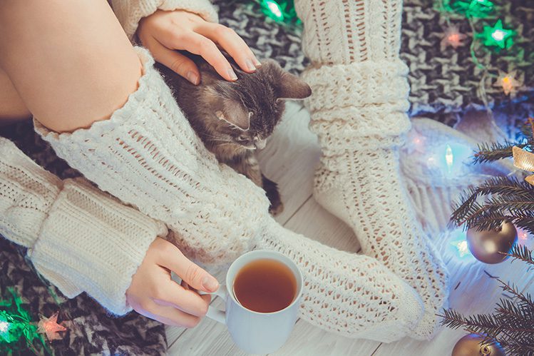 Is your cat ready for winter?
