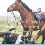 It’s very scary in the arena, or what to do when the horse is afraid