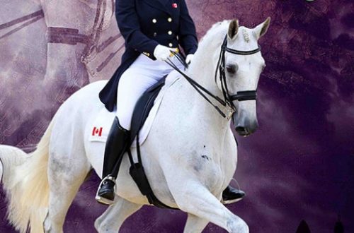 Jacqueline Brooks on Funding Equestrian Sports in Canada