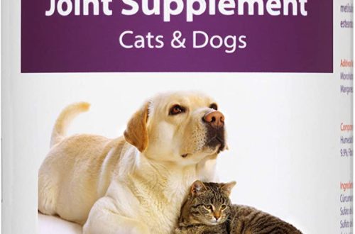 Joint diseases and chondroprotectors for dogs and cats