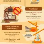 Keeping quails at home: features of caring for young and adult birds