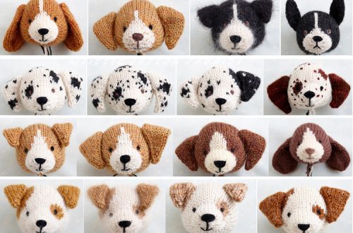 Knitting of dogs of small breeds