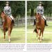 How to Calm a Nervous Horse with Lateral Work