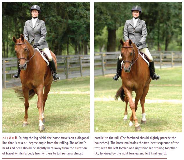 Lateral movements from the horse&#8217;s point of view