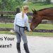 Horse training: be &#8220;here&#8221; and &#8220;now&#8221;!