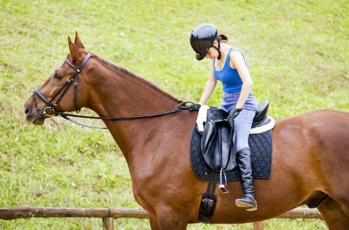 Learning to work without stirrups