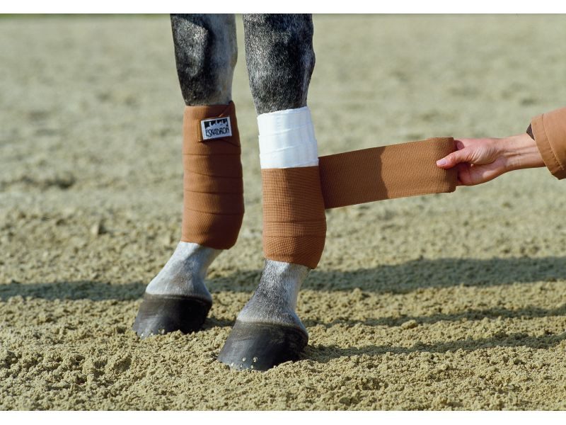 Legs or bandages: the world&#8217;s best guides about the eternal dilemma