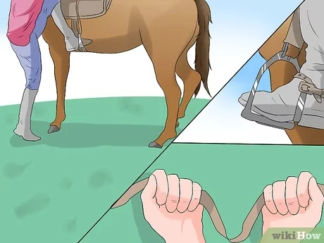 Let&#8217;s remember how to hold the reins correctly!